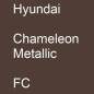 Preview: Hyundai, Chameleon Metallic, FC.